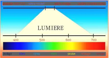 Figure 5 : Le spectre électromagnétique 
