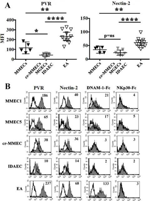 Figure 2: PVR and nectin-2 expression in MMECs and normal endothelial cells.  (A) MMECs (black triangles), cr-MMEC,  MGECs, IDAEC (gray triangles) and EA (white triangles) were analyzed by flow cytometry for the expression of PVR and Nectin-2