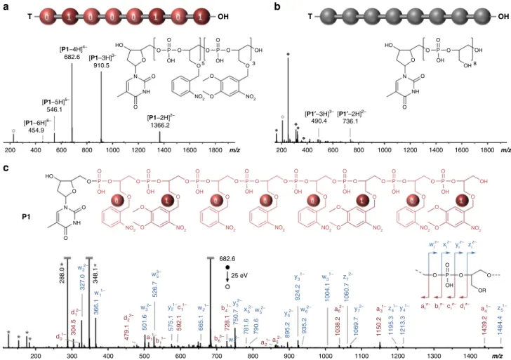 Fig. 2 Example of a photo-erasable digital polymer. ESI-HRMS spectra obtained in the negative ion mode for polymer P1 before (a) and after (b) light exposure
