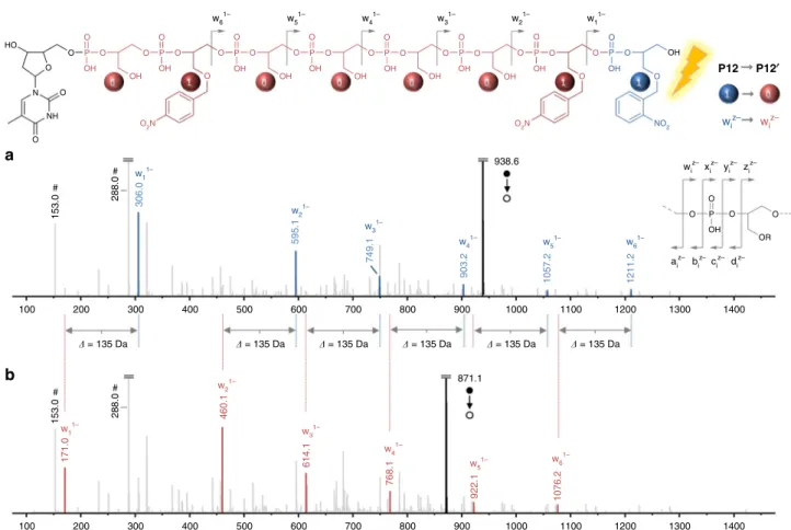 Fig. 4 Photo-induced sequence mutation. MS/MS sequencing spectra obtained for polymer P12 before (a) and after (b) light exposure