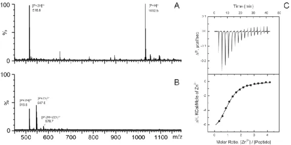 Figure 2. The 450–1200 m/z range of the positive ion mass spectra obtained for 10 µ M ALR peptide in  100 mM ammonium acetate buffer in the absence (A) in the presence (B) of 50 mM ZnCl 2 , pH 7.3
