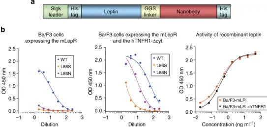 Figure 4 | Targeting of leptin activity. (a) Schematic representation of the Nb-leptin fusion proteins