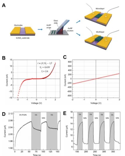 Figure 9. (a) Sketch of the AuNP stripe fabrication process. By controlling the parameter  of the convective self-assembly (CSA) process, AuNP stripes composed of mono- or  multilayers can be fabricated on the Si/SiO2 substrates