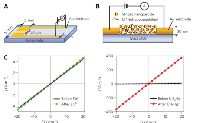 Figure  13.  (a-b)  Schematic  representation  of  the  solid-state  sensors  consisted  of  a  film  of  striped-patterned  AuNPs