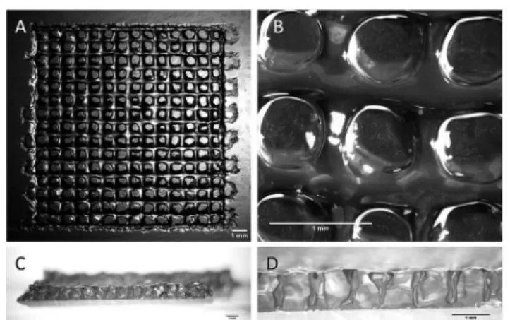 Fig. 3 Stereomicroscopy images of the 3D-printed sca ﬀ olds. (A and B) Top views; (C and D) side views