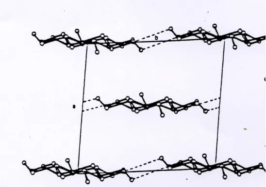 Figure  5.  Organisation  des  liaisons  hydrogène  dans  la  structure  cristalline  cellulose I (les liaisons hydrogènes sont indiquées en pointillées) 