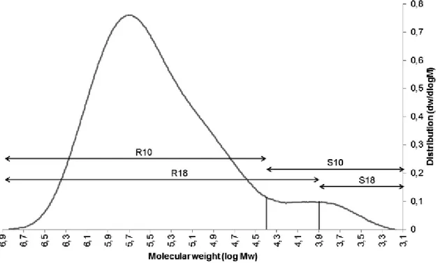 Figure  30.  Représentation  du  R10,  S10,  R18  et  S18  par  rapport  à  la  distribution de masse moléculaire d’une pâte cellulosique 