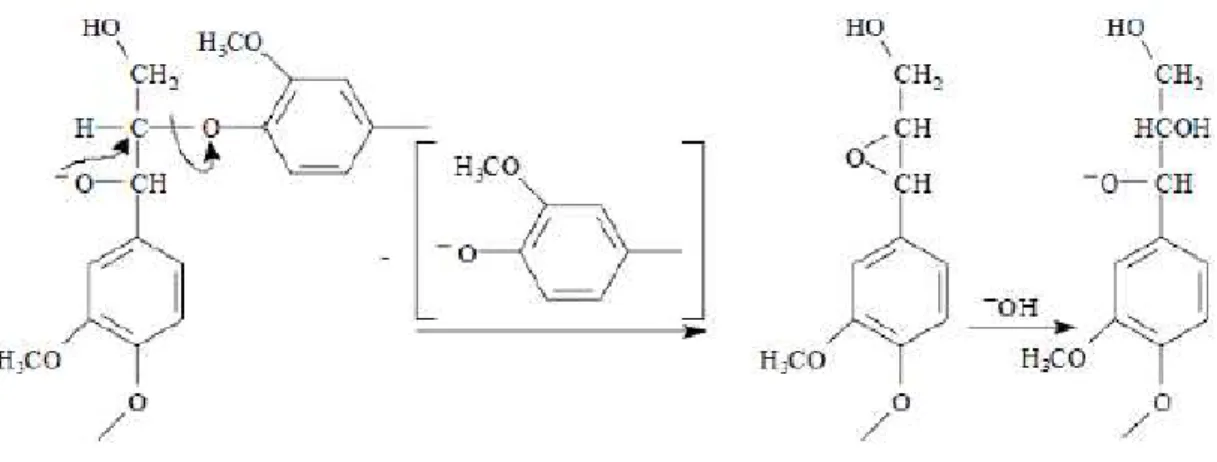 Figure  37.  Réactions  de  condensation  de  la  lignine  au  cours  du  procédé  kraft