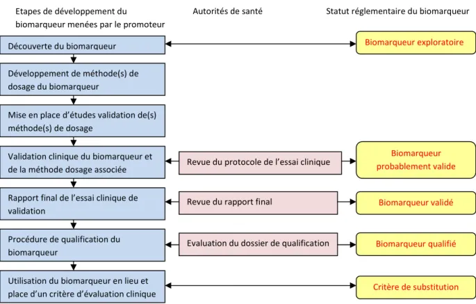Figure 6: Différents statuts réglementaires  d'un biomarqueur relatifs aux étapes du processus de  qualification