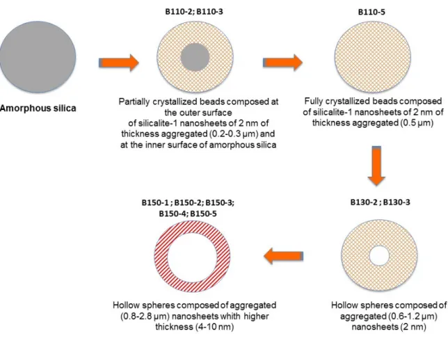 Figure 7. Schematic representation of the pseudomorphic transformation of silica amorphous beads  into silicalite-1 beads or hollow spheres composed of silicalite-1 nanosheets samples (B-T(°C)-t(days))  as a function of the hydrothermal temperature (T in °