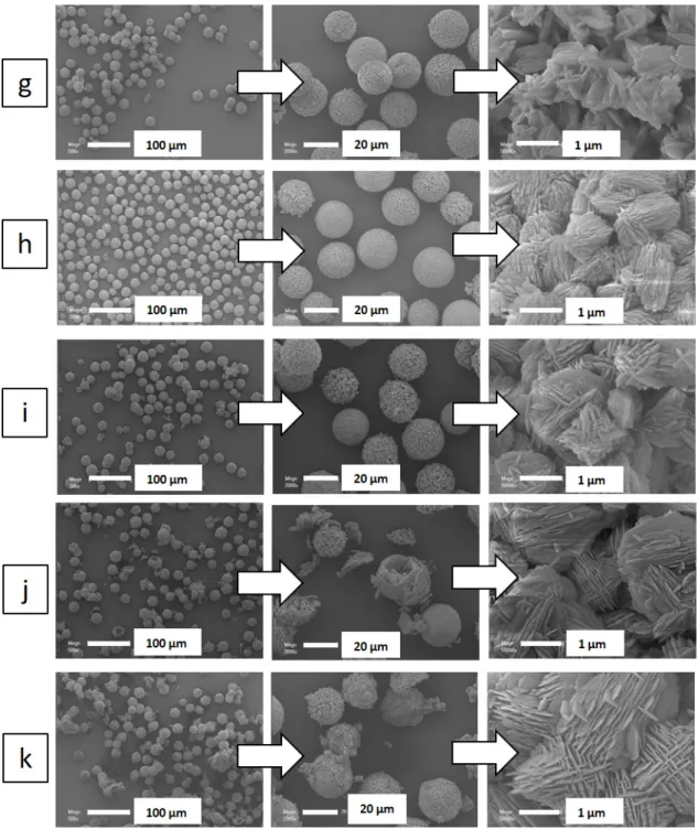 Figure 2. Scanning electron microscopy (SEM) images of: (a) amorphous 20 µm silica spheres, and  silicalite-1 beads as a function of their temperature and duration synthesis (B-T(°C)-t(days)): (b)  B110-2, (c) B110-3, (d) B110-5, (e) B130-B110-2, (f) B130-