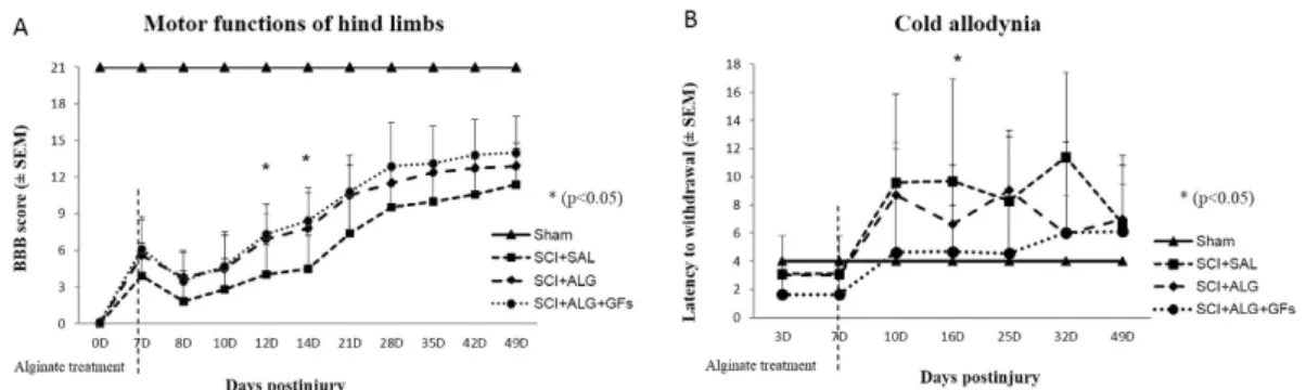 Figure 2.  Functional recovery of hindlimb motor (A) and sensory functions (B) following SCI in Sham,  SCI + SAL, SCI + ALG and SCI + ALG + GFs experimental groups