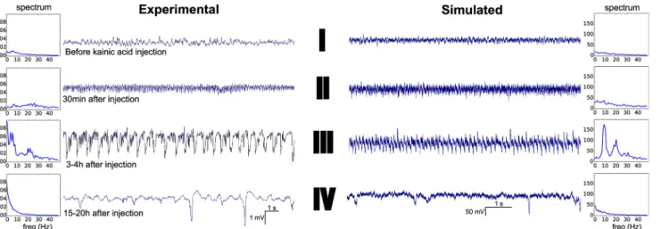 Fig 4. Parameter space during status epilepticus (SE). Color code represents the degree of