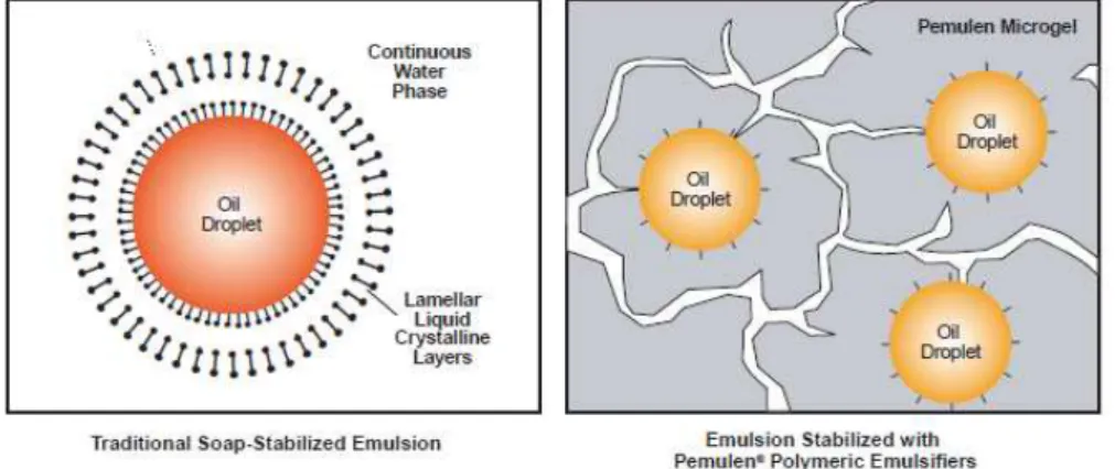 Figure 3.7 – The repulsive force due to the aqueous gel layers that surround each droplet of oil, keep the o/w emulsion in a state of great stability (Lubrizol-Technical data sheet