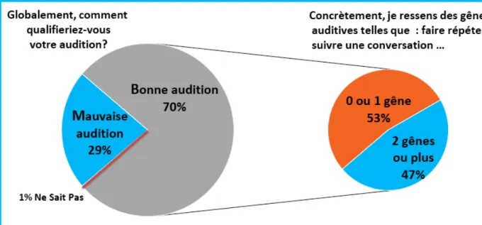 Figure 11 : Les Français et leur audition [1] 