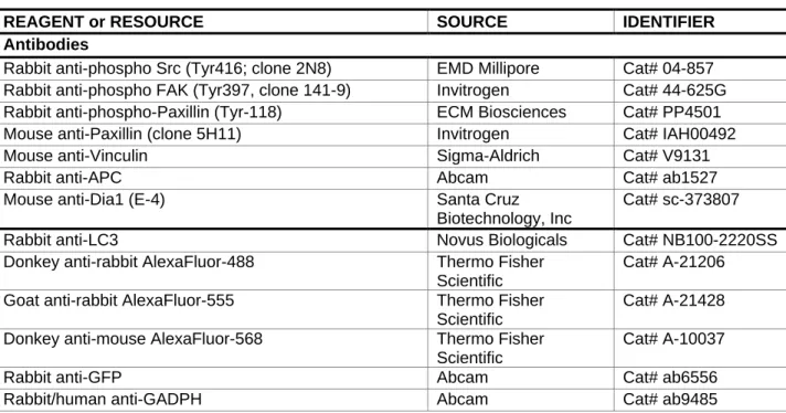 Figure legends list the n values and error bars (SD or SEM) for each experiment. Data  were  tested  for  normality  using  D'Agostino-Pearson  omnibus  normality  test,  and  statistical  significance  was  calculated  using  ordinary  one-way  ANOVA  Sid