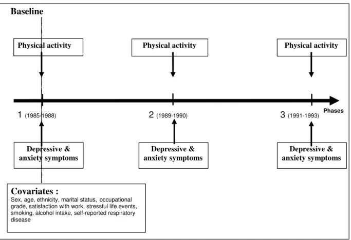 Fig. 1 Study design  Physical activity  Phases  3  (1991-1993) 2 (1989-1990) 1 (1985-1988)  Depressive &amp;  anxiety symptoms Baseline  Covariates :