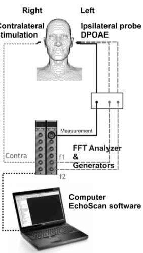 Figure 2: DPOAE amplitude vs. f1 intensity. Data for subject #7  are reported. (a) The grey area corresponds to the linear portion  of the DPOAE growth curve, which was subsequently used to  evaluate the trigger threshold of the middleear reflex