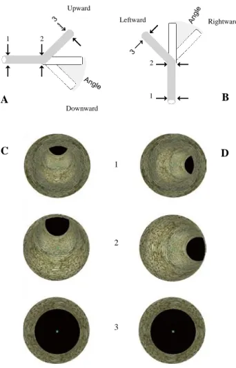 Figure  1  illustrates  the  experimental  task.  Subjects  looked  straight ahead through a formtting face mask and a cylin   -drical barrel frame at the screen of a laptop computer onto  which  the  images  of  virtual  movements  were  displayed