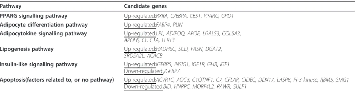 Table 1 Adipogenic candidate genes and their involvement in biochemical pathways.