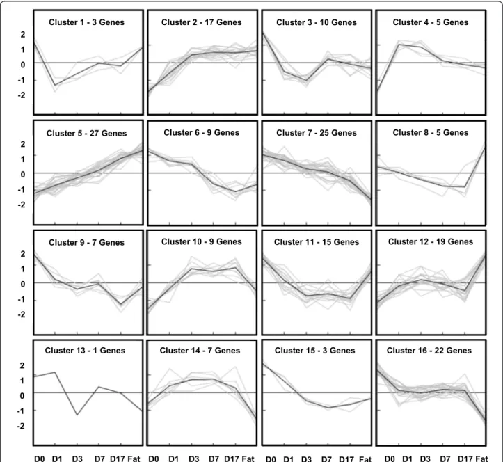 Figure 7 K-Means cluster analysis of adipogenic gene expression profile. 184 candidate genes possibly associated with adipogenesis were clustered into 16 different groups (C: Cluster) depending on the individual expression levels (K-means clustering method