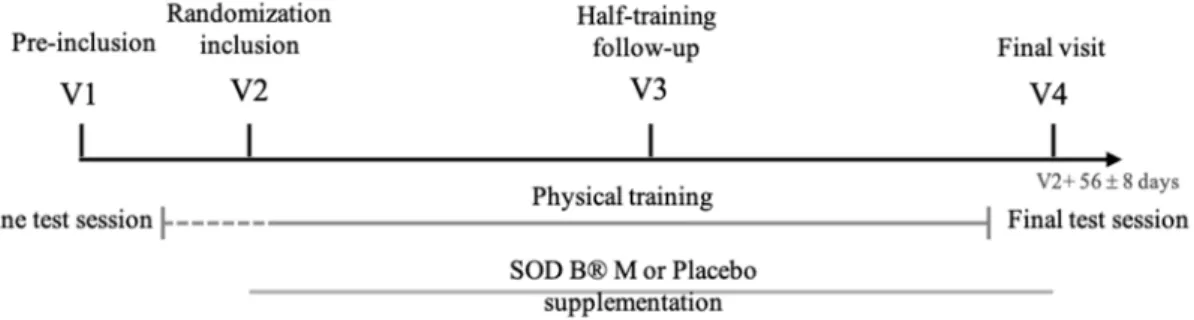 Figure 1. Schematic representation of the clinical study design. V1 includes the Ruffier test, Baseline test session includes the Prevost test, SF 36 ® survey and Half Cooper test