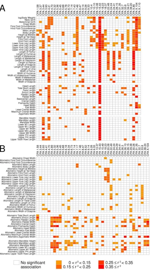 Figure 4. Summary of associations across genomic regions for multiple traits. Each row corresponds to a trait (either absolute or proportional), and each column corresponds to a genomic region that has been found associated with at least one trait