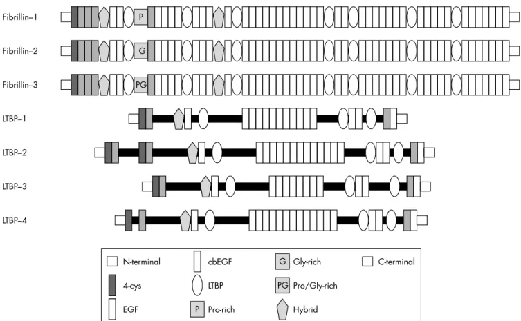 Figure 1 T he fibrillin-1 gene FBN1 spans about 235 kb of genomic DNA on chromosome 15q21.1, and has a transcript size of 9749 nucleotides; the &lt;