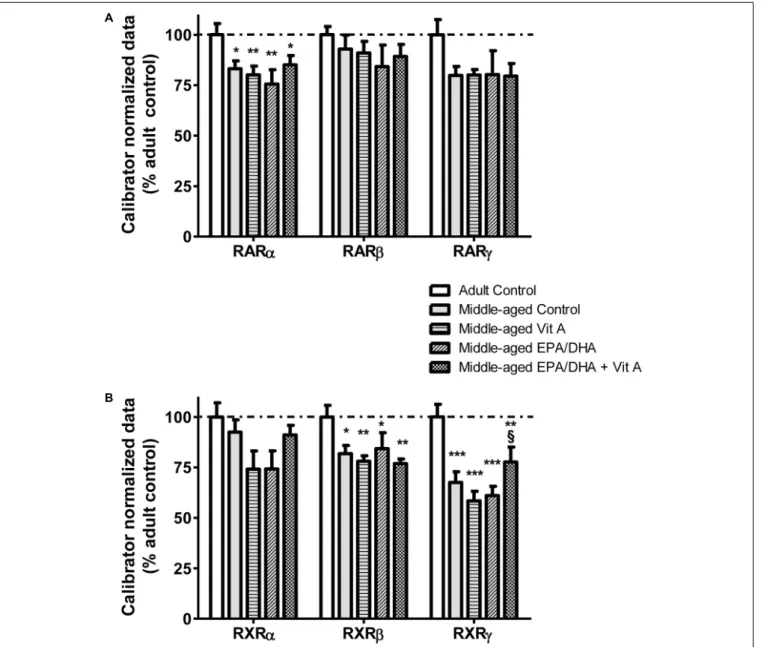 FIGURE 4 | Effect of age and diet (EPA/DHA, Vit A, or EPA/DHA + Vit A) on the mRNA expression of RARα, β, γ (A), and RXRα, β, γ (B)