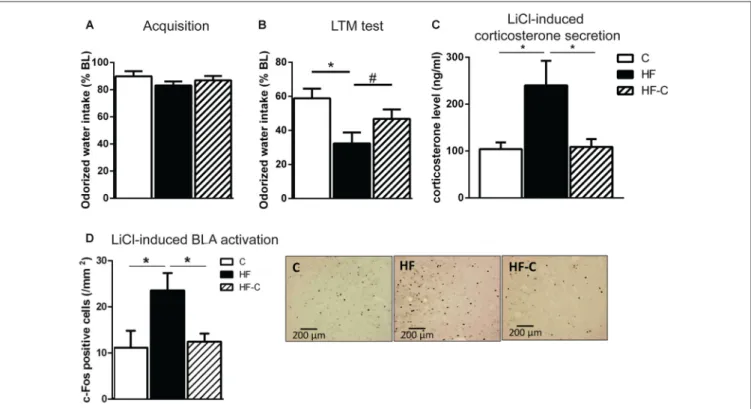 FIGURE 3 | Aversive amygdala-dependent memory and amygdala activation. (A) Odorized water intake did not differ between groups on acquisition day.