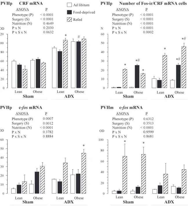 Fig. 7. Effects of different feeding conditions (ad libitum, food deprivation for 12 h, or refeeding for 1 h) on expression of corticotropin-reducing hormone (CRH) mRNA, c-fos mRNA, and number of cells colocalizing Fos immunoreactivity and CRH mRNA in the 
