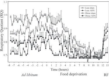 Fig. 3. Changes in nonprotein respiratory quotient (RQ) in ad libitum-fed animals during overnight food deprivation (12 h; point 0, beginning of food deprivation) and after 1 h of refeeding (RF) of sham-operated and ADX lean and obese Zucker rats