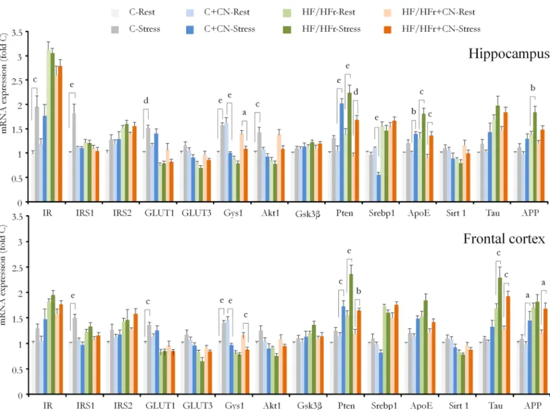 Fig 2. The expression of mRNA in the hippocampus and frontal cortex. The rats were fed with control (C) or high fat/high fructose (HF/HFr) diets supplemented or not with cinnamon (CN) for 12 weeks, then exposed (Stress) or not (Rest) before the sacrifice