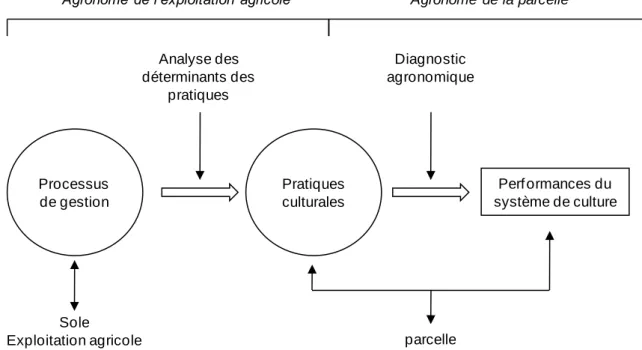 Figure 4. Positionnement du concept de pratique par rapport aux entités de gestion et à son utilisation  par les agronomes 