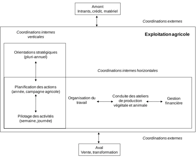 Figure  5.  Représentation  schématique  de  l’exploitation  agricole  en  termes  de  processus  de  coordinations 