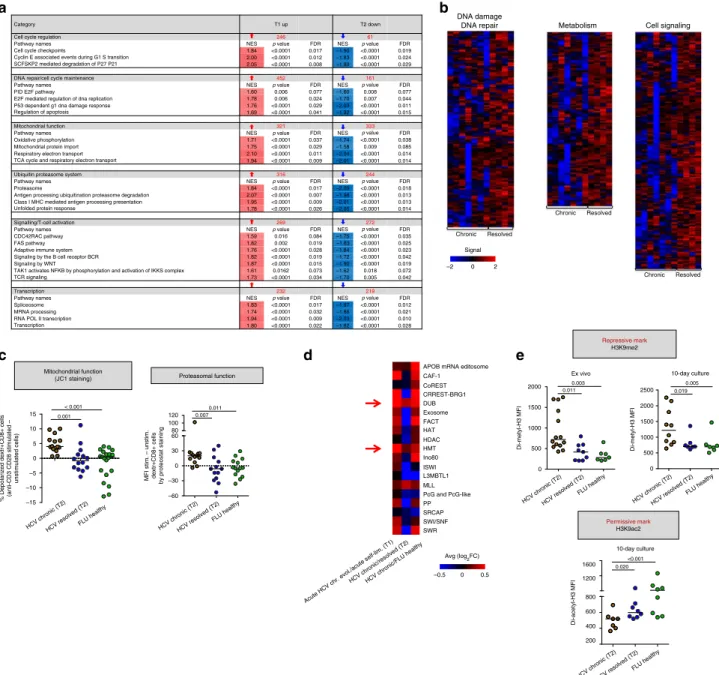 Fig. 6 Epigenetic transcriptional repression in exhausted HCV speci ﬁ c CD8 + T cells from chronic patients