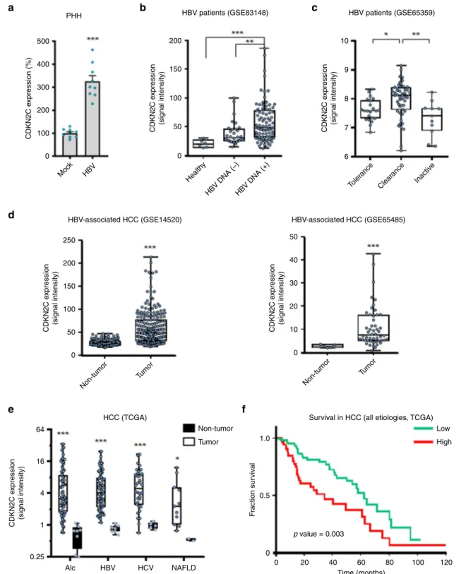 Fig. 9 CDKN2C expression is associated with HBV infection, liver disease, and survival in patients