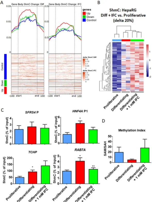 Figure 5.  Reduced 5hmC enrichment under methyl-donor perturbation. 5hmC in proliferative, differentiating  and differentiating + IFC-305 HepaRG cells, as assessed using BS and OxBS followed by EPIC beadarray  hybridization (see methods and Fig. 2)