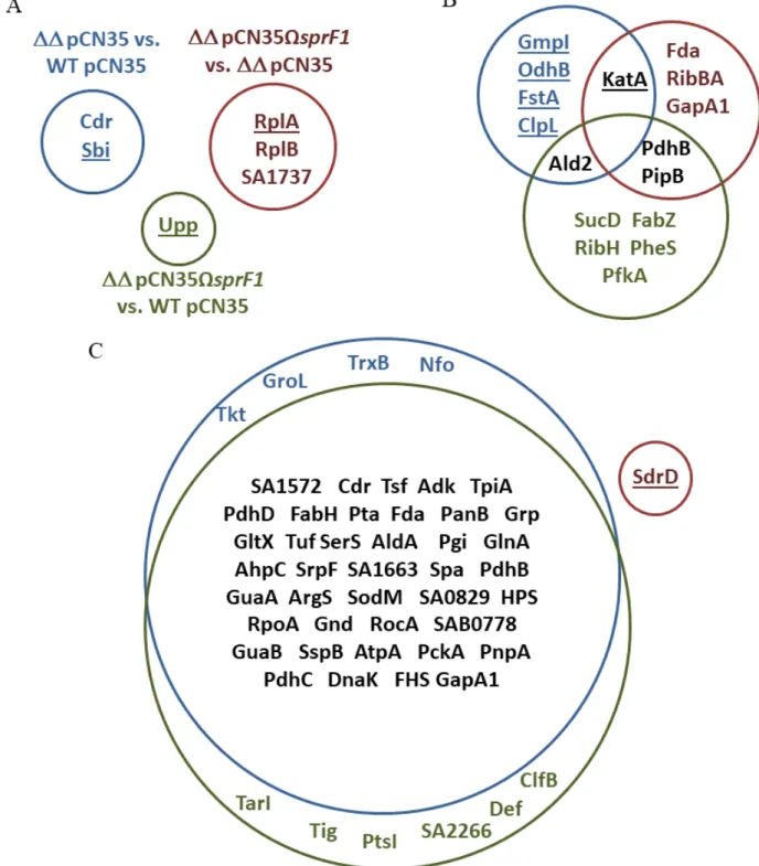 Figure 2. Impacts of the SprG1/SprF1 type I TA system on the S. aureus N315 proteome. Differentiating proteins in the intracellular proteome at logarithmic (A) and stationary (B) growth phases and in the extracellular proteome at stationary growth phase (C