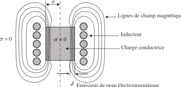 Figure 2.1 : Schéma de la distribution des lignes de flux à l’interieur de la  charge conductrice