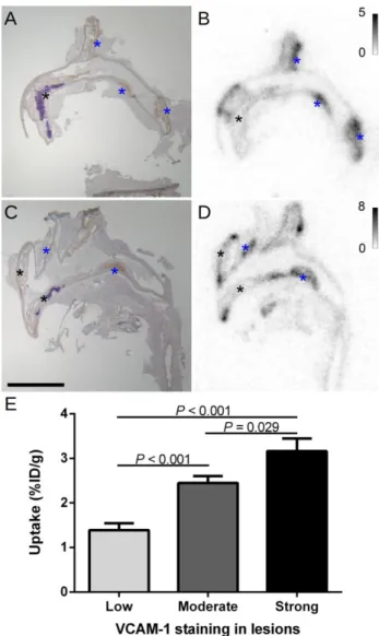 FIGURE 1. 99m Tc-cAbVCAM1-5 uptake and VCAM-1 expression. A and C: Representative  VCAM-1 immunostainings performed on aortic arch lesions of ApoE-deficient mice