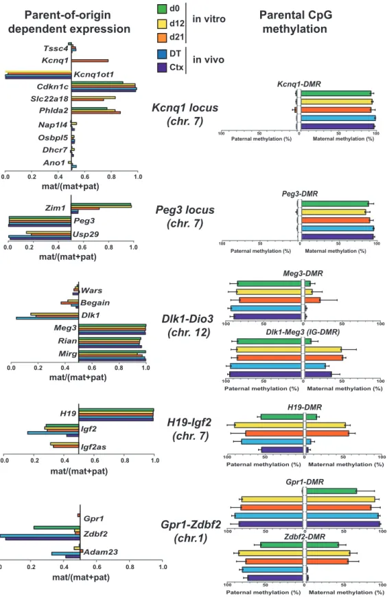 Figure 6.Summary of parent-of-origin-dependent gene expression and DNA methylation at 5 representative imprinted loci