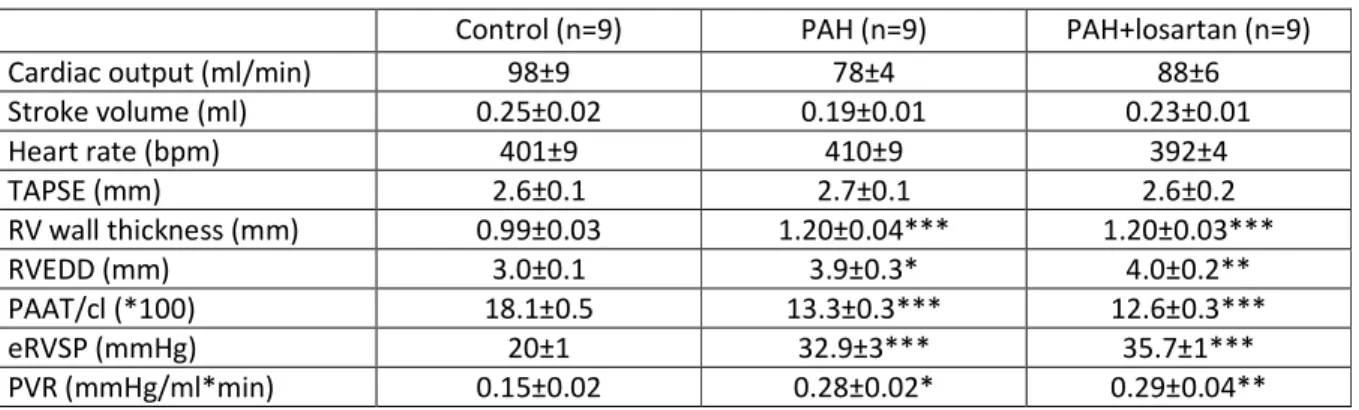 Table E1 – Baseline characteristics control and PAH-rats 