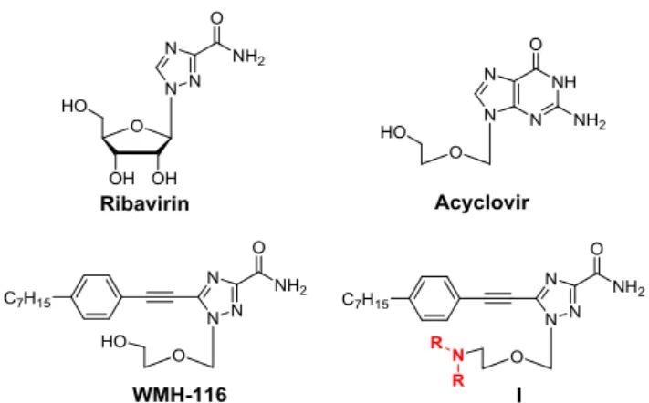 Fig. 1 Chemical structures of the nucleoside drugs ribavirin and acyclovir, the  arylethynyltriazole nucleoside WMH-116, and the amine-containing triazole  nucleoside derivatives I studied in this work