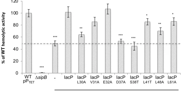 Figure 3 020406080100120 WT  +  p1 24 2 ∆SipB ∆IacP  + p 1242 ∆IacP  + p IacP _W T ∆IacP  + p IacP _L 30A ∆IacP  + p IacP _V 31A∆IacP + p IacP _E 32A ∆IacP  + p IacP _D37A∆IacP + p IacP _S 38T∆IacP + p IacP _L 41T∆IacP + p IacP _L 48A∆IacP + p IacP _L 61Ap