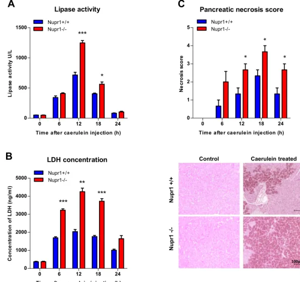 Figure 7.  Nupr1 protects from pancreatitis-induced cell death. Serum lipase (A) and LDH (B) levels were  measured in control Nupr1 +/+  and Nupr1 −/−  mice at 6, 12, 18, and 24 h following caerulein-induced acute  pancreatitis