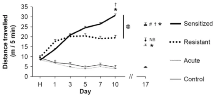 Figure 1. Individual variability in EIBS development. On the first day of the experiment (habituation day, H), all mice were injected with saline solution (n = 60)