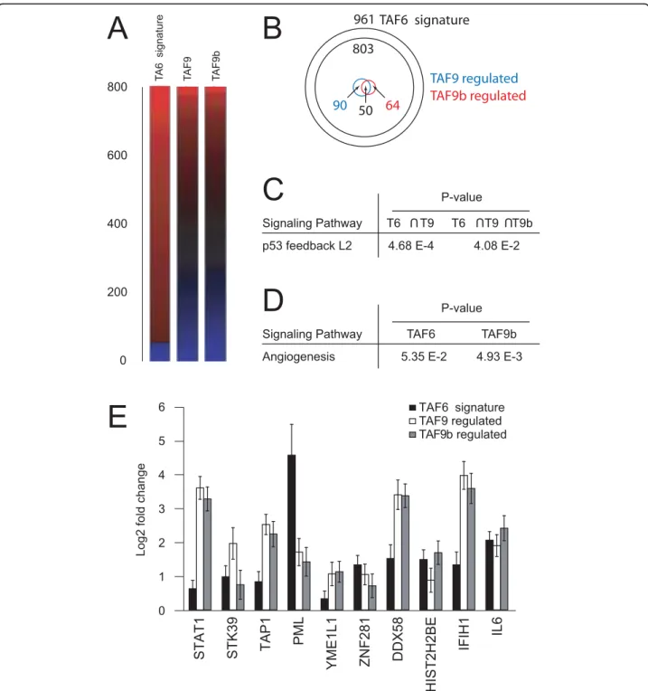 Figure 4 Comparison of the transcriptome effects of TAF6 δ with TAF9 and TAF9b. (A) A heat map representation of changes in expression of 800 mRNAs that could be mapped from the published data resulting from depletion of TAF9 or TAF9b [16] to the TAF6 δ -d