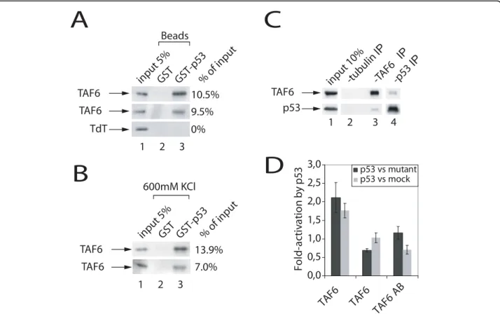 Figure 5 TAF6 δ interacts physically and functionally with p53. (A) TAF6 δ interacts with p53 in vitro