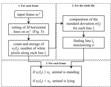 Figure 3: Flowchart detailing the algorithm applied to a side view video to detect the animal’s posture.